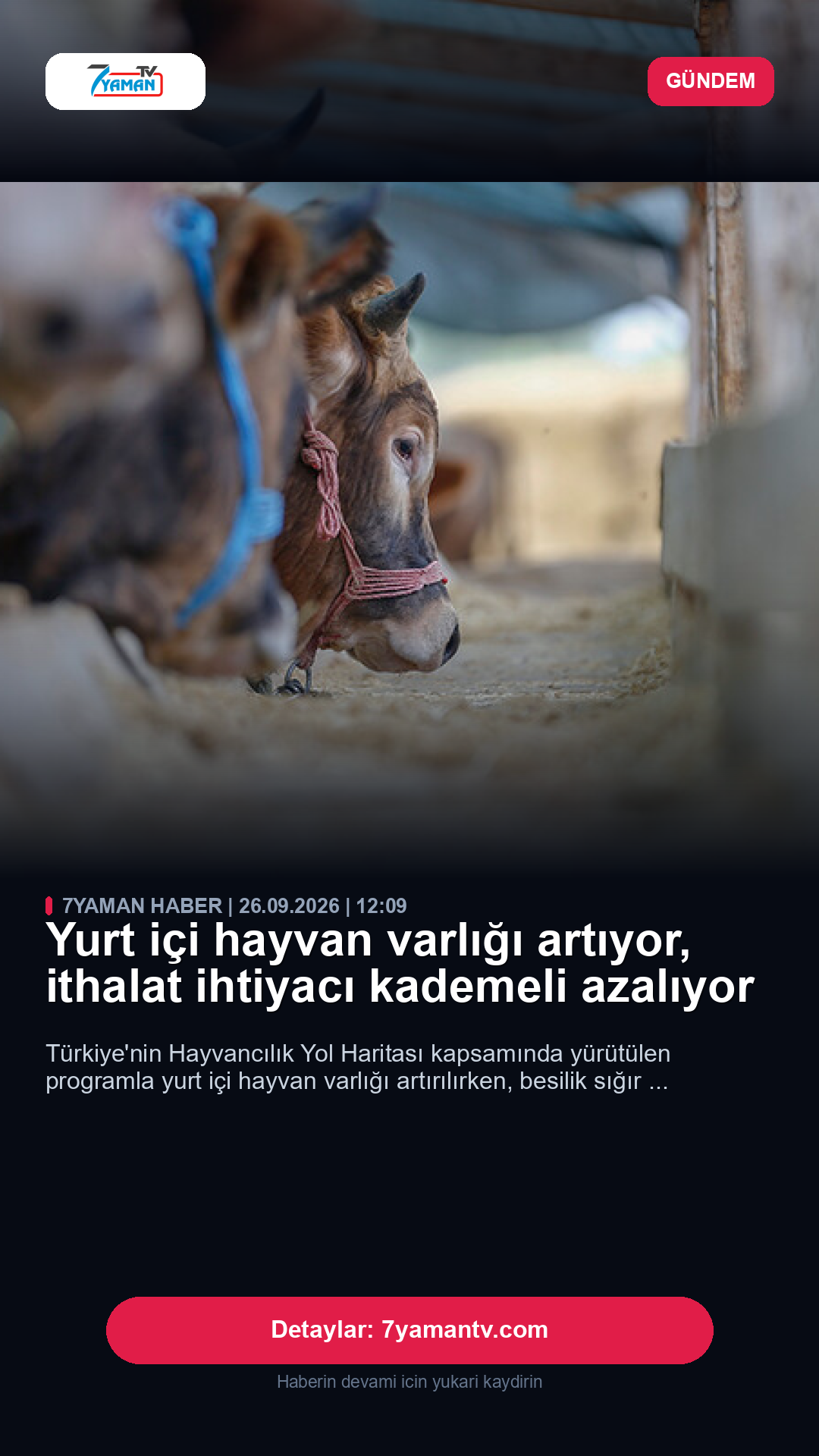 Instagram 9:16 Story