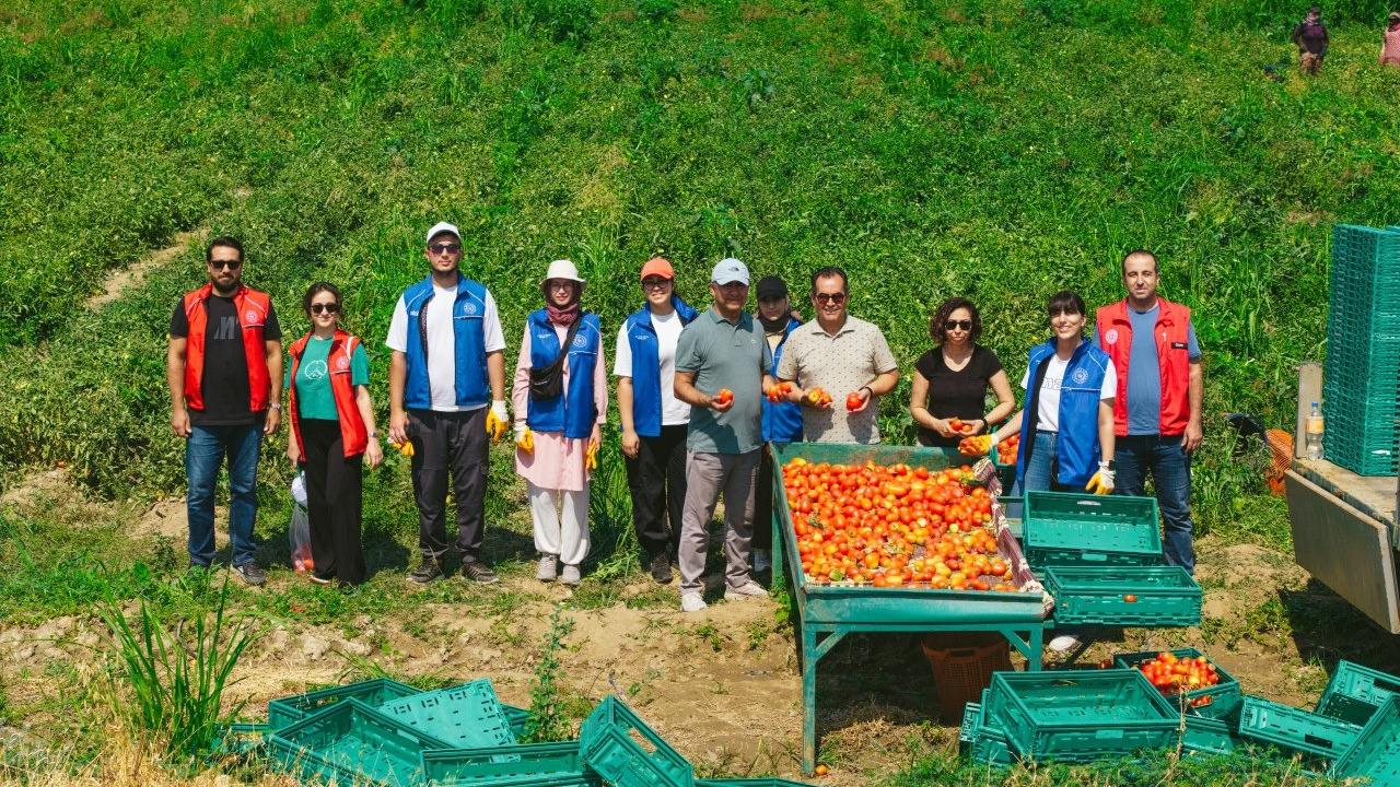 Gençlerden tarımsal üretime destek: 'Gönüllü Hasat Etkinliği' takvimi belli oldu