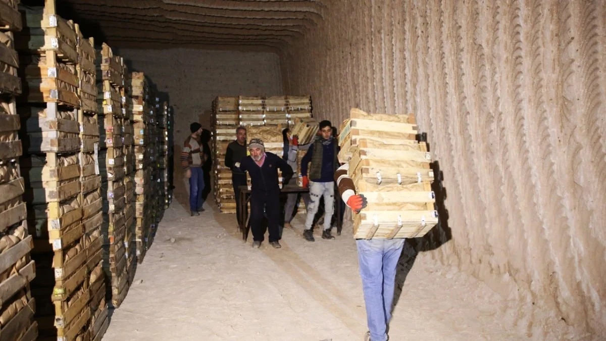 Kapadokya'daki doğal mağaralarda 'yatak limon' depolanıyor — Ekonomi — Adıyaman yerel haber görseli