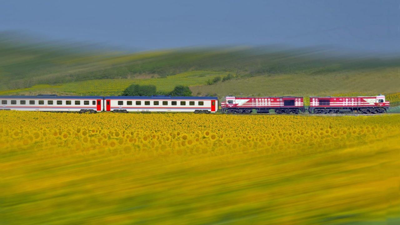 TCDD otla mücadele kapsamında tren yollarında ilaçlama yapacak — Son Dakika — Adıyaman yerel haber görseli