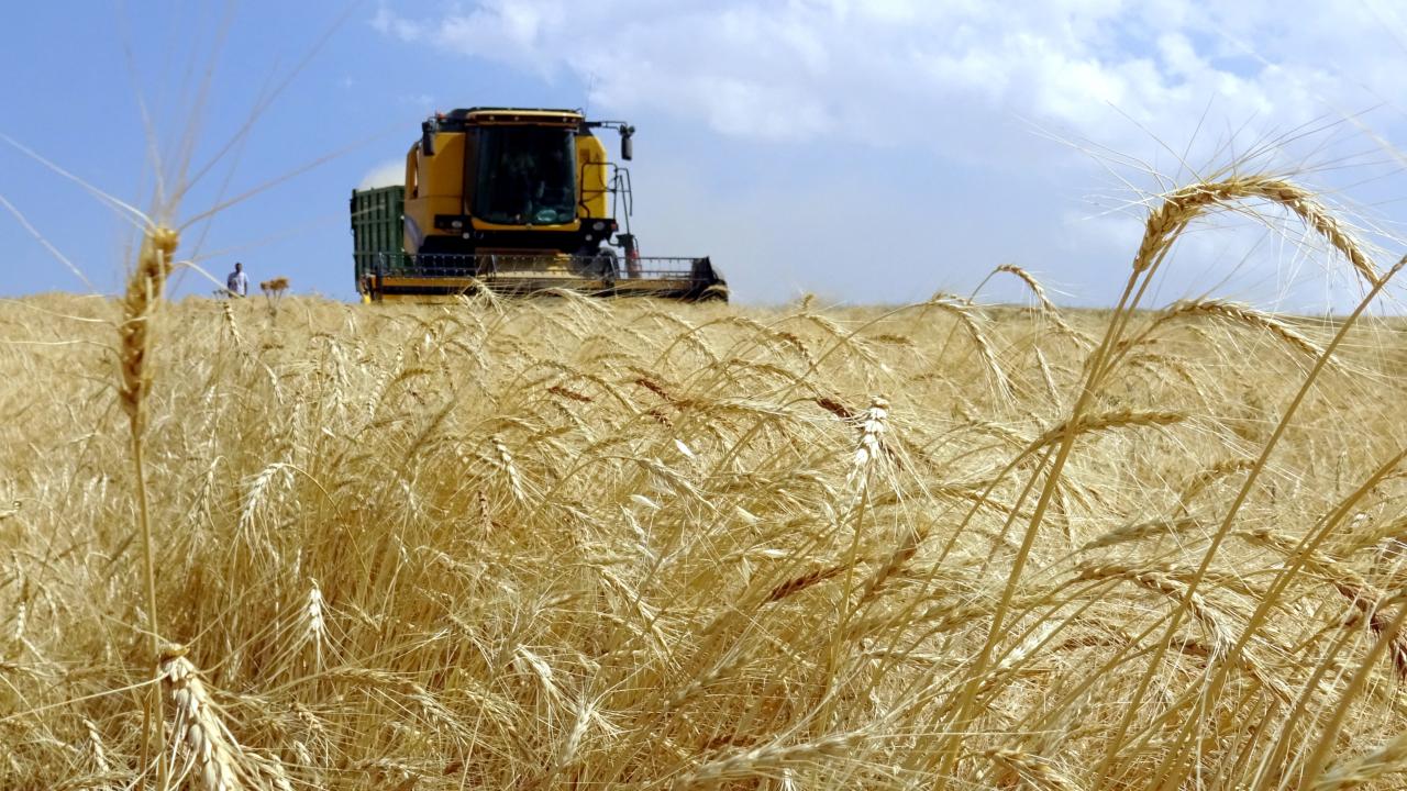 Yaklaşık 1,4 milyar lira tarımsal destekleme ödemeleri bugün yapılacak — Son Dakika — Adıyaman yerel haber görseli
